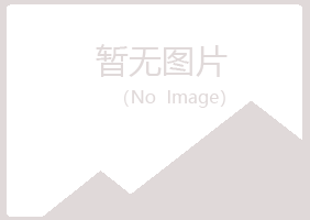 鄢陵山柏会计有限公司